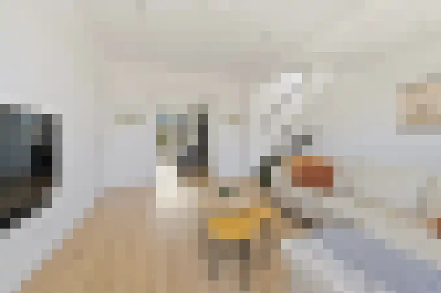 Cornelis van der Lijnstraat 71 Den Haag thumbnail 20