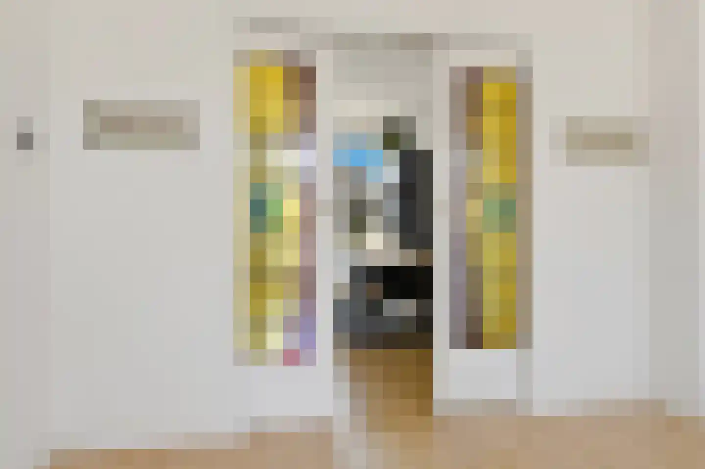 Cornelis van der Lijnstraat 71 Den Haag thumbnail 25