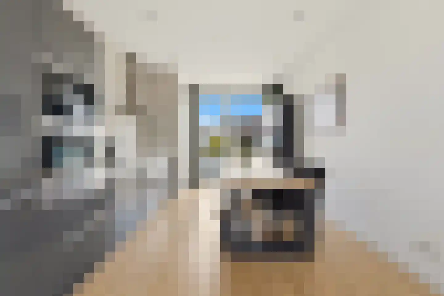 Cornelis van der Lijnstraat 71 Den Haag thumbnail 26