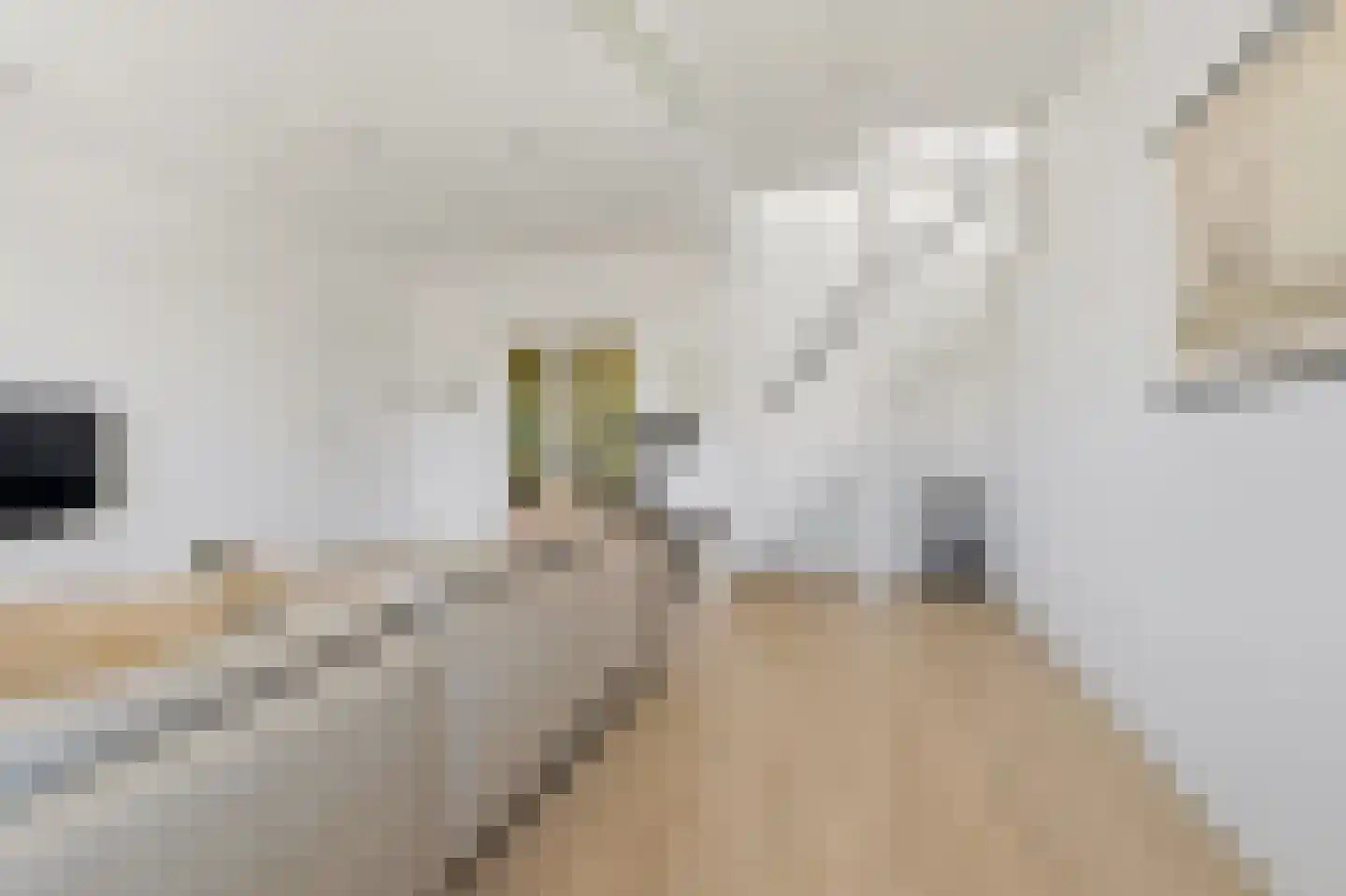 Cornelis van der Lijnstraat 71 Den Haag thumbnail 31