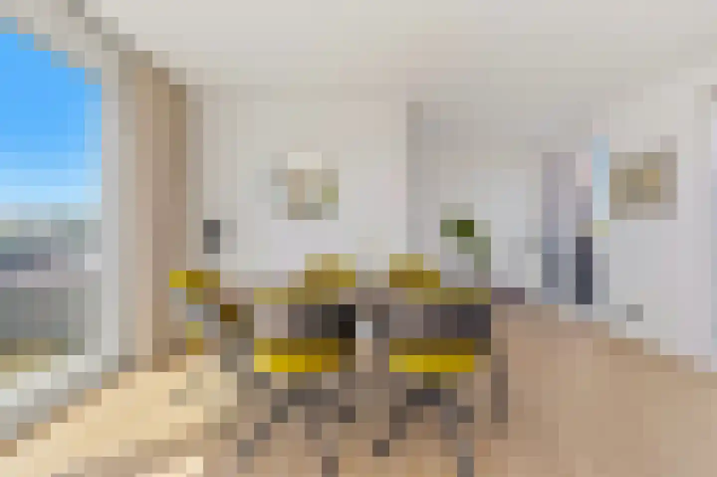 Cornelis van der Lijnstraat 71 Den Haag thumbnail 33