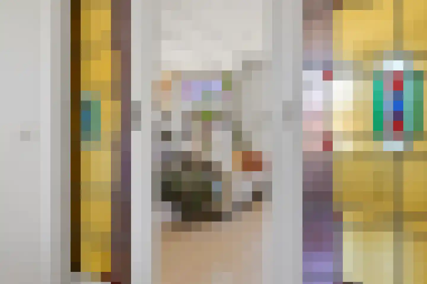 Cornelis van der Lijnstraat 71 Den Haag thumbnail 4