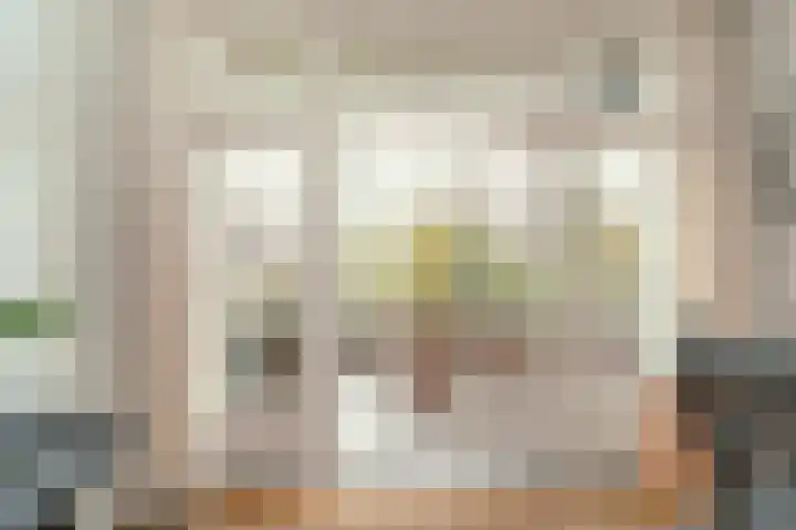 Cornelis van der Lijnstraat 87 Den Haag thumbnail 10