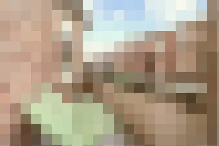 Cornelis van der Lijnstraat 87 Den Haag thumbnail 15
