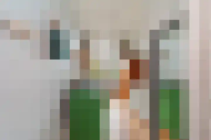 Cornelis van der Lijnstraat 87 Den Haag thumbnail 18