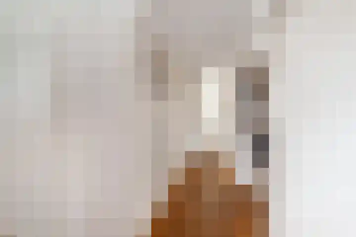 Cornelis van der Lijnstraat 87 Den Haag thumbnail 27