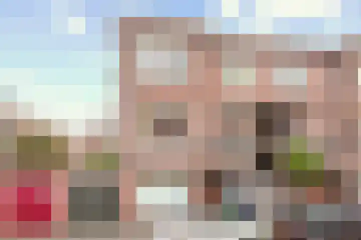 Cornelis van der Lijnstraat 87 Den Haag thumbnail 31
