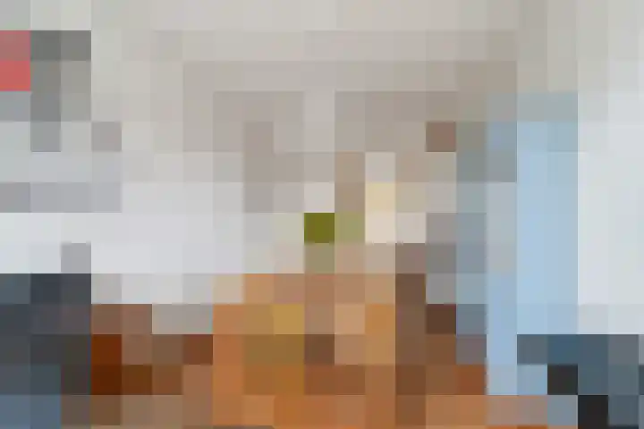Cornelis van der Lijnstraat 87 Den Haag thumbnail 7