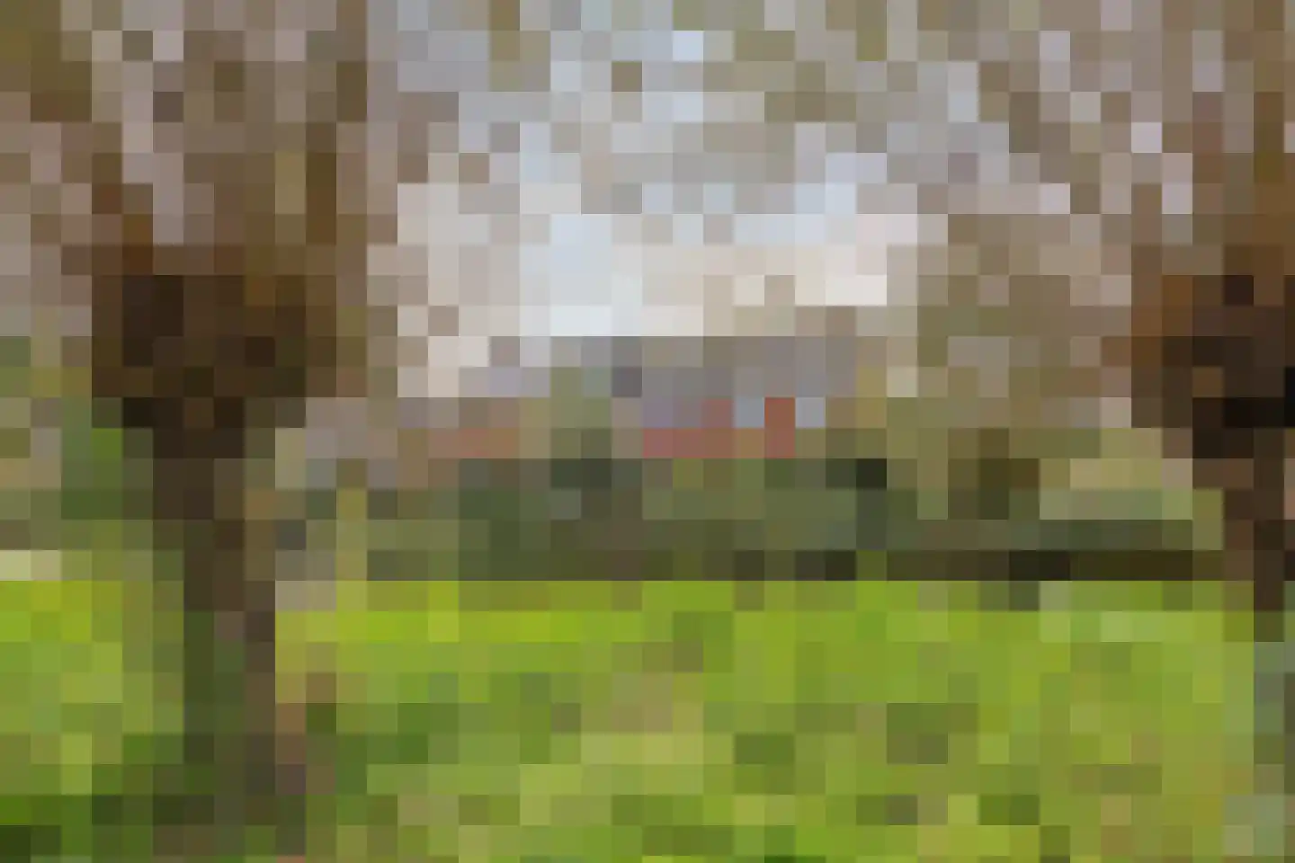 Cornelis van der Loostraat 1 Schiedam thumbnail 11