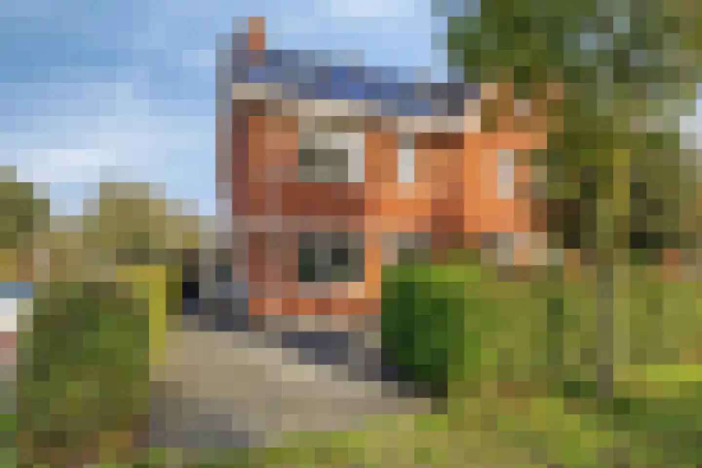 Cornelis van der Loostraat 1 Schiedam thumbnail 12