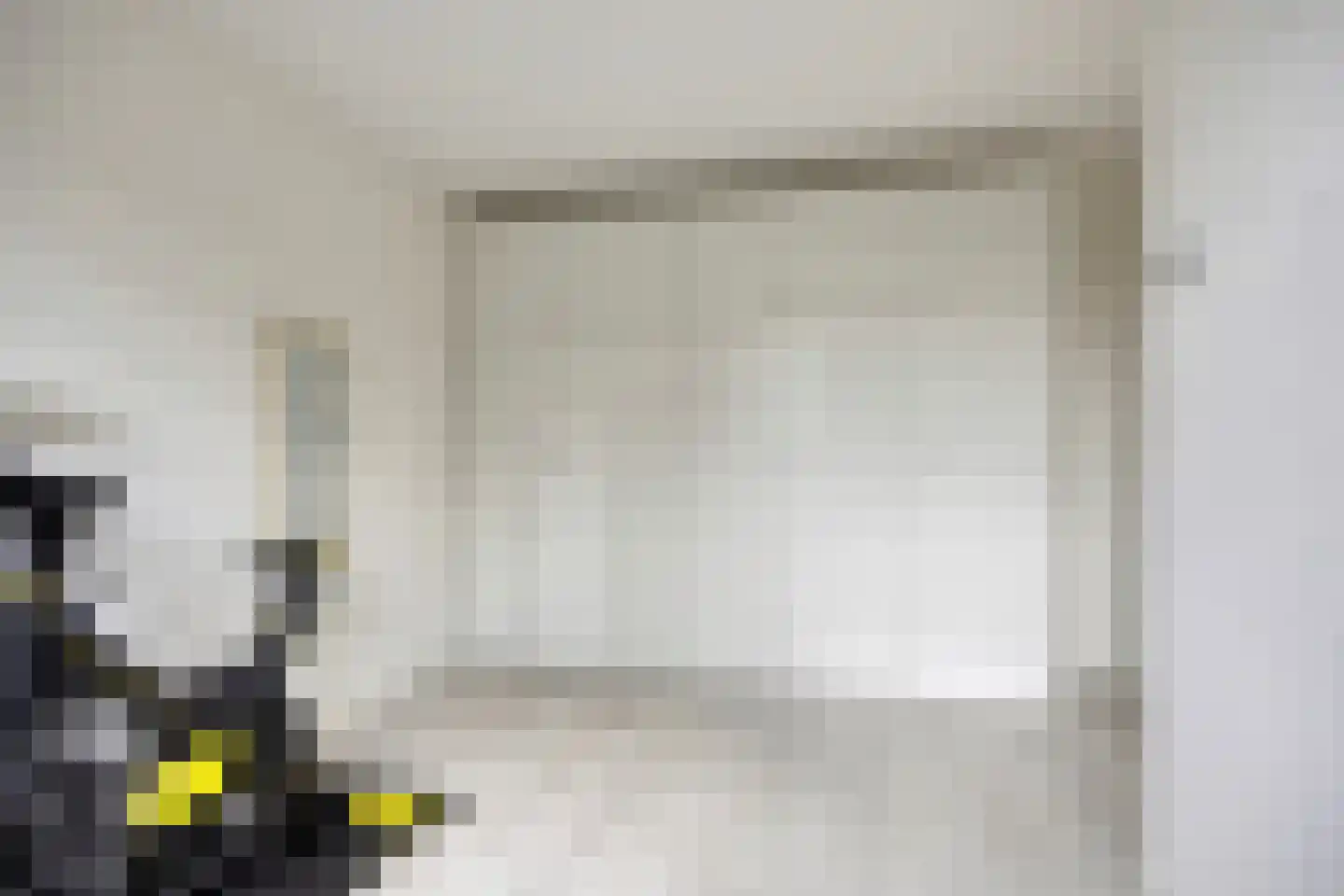 Cornelis van der Loostraat 1 Schiedam thumbnail 38