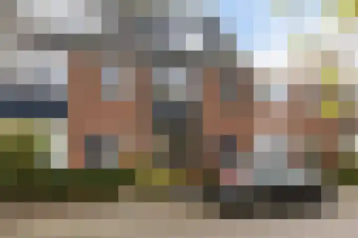 Cornelis van Dijckstraat 24 Pernis Rotterdam thumbnail 10