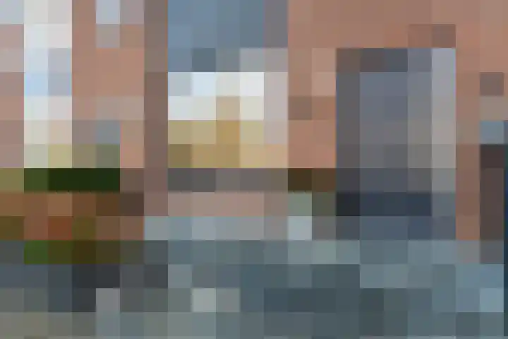 Cornelis van Dijckstraat 24 Pernis Rotterdam thumbnail 11