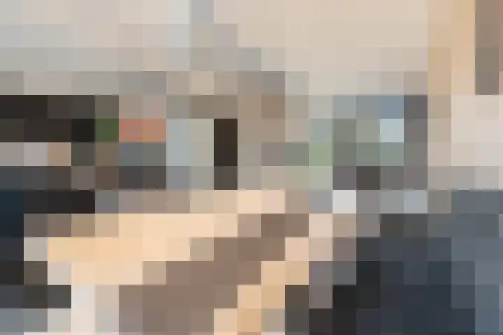 Cornelis van Dijckstraat 24 Pernis Rotterdam thumbnail 27