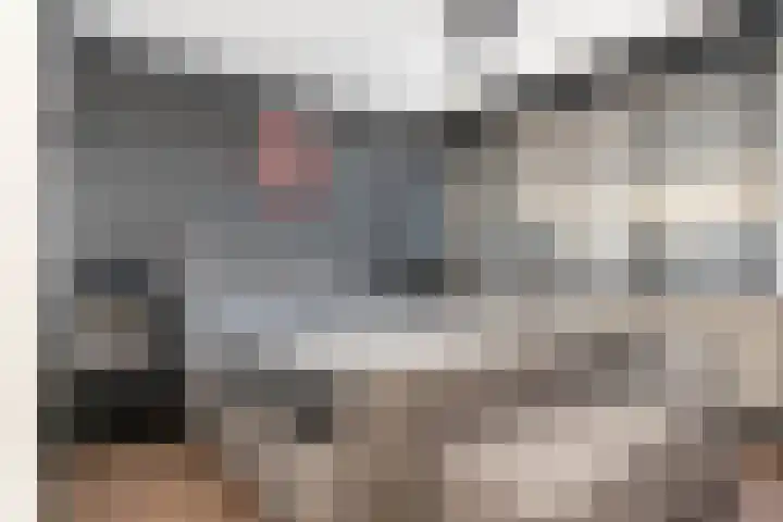 Cornelis van Dijckstraat 24 Pernis Rotterdam thumbnail 31
