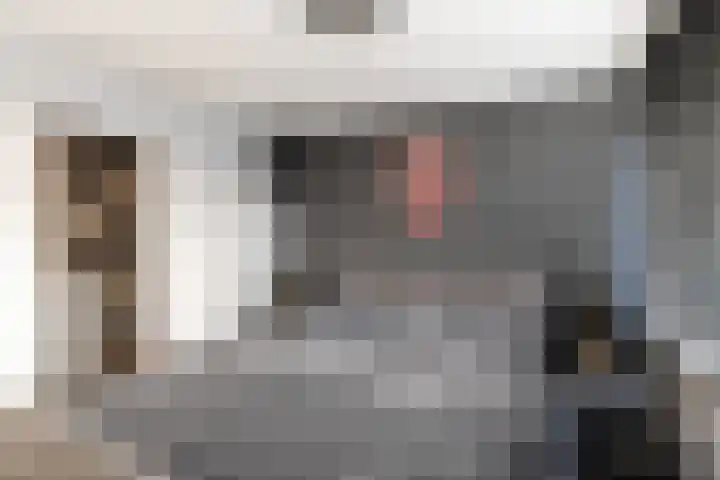 Cornelis van Dijckstraat 24 Pernis Rotterdam thumbnail 32