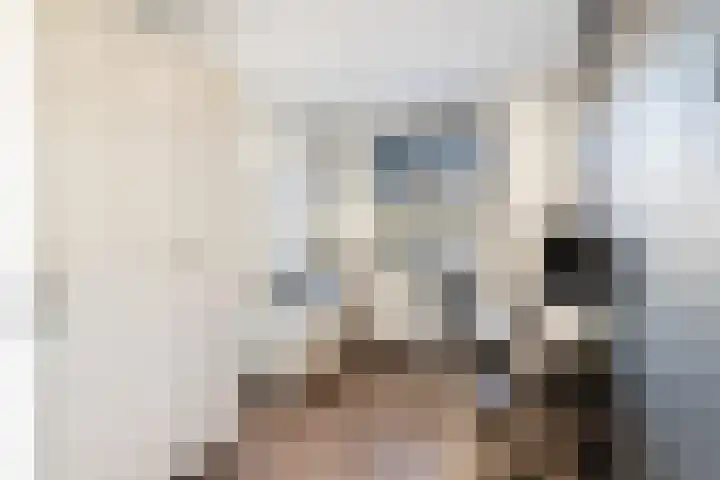 Cornelis van Dijckstraat 24 Pernis Rotterdam thumbnail 33