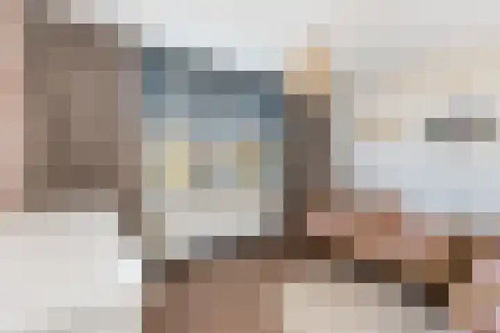 Cornelis van Dijckstraat 24 Pernis Rotterdam thumbnail 37