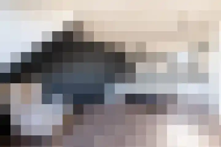Cornelis van Dijckstraat 24 Pernis Rotterdam thumbnail 48
