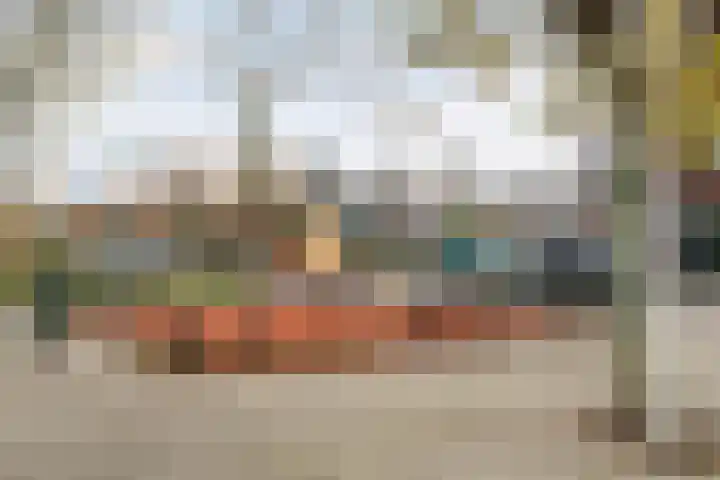 Cornelis van Dijckstraat 24 Pernis Rotterdam thumbnail 50