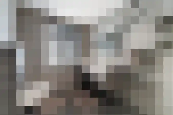 Cornelis van Dijckstraat 24 Pernis Rotterdam thumbnail 6