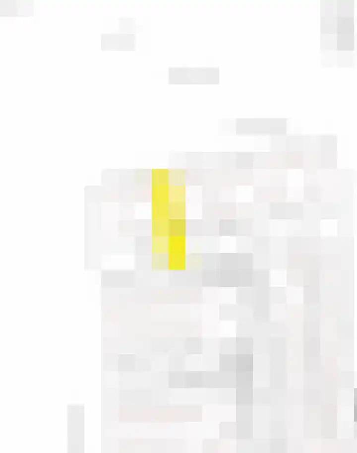 Cornelis van Dijckstraat 24 Pernis Rotterdam thumbnail 64