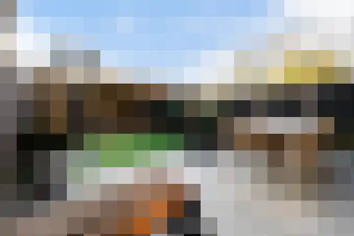 Cornelis van Dijckstraat 24 Pernis Rotterdam thumbnail 8