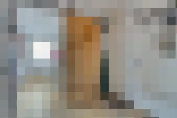 Cornelis van Eerdenstraat 1 Zoetermeer thumbnail 10