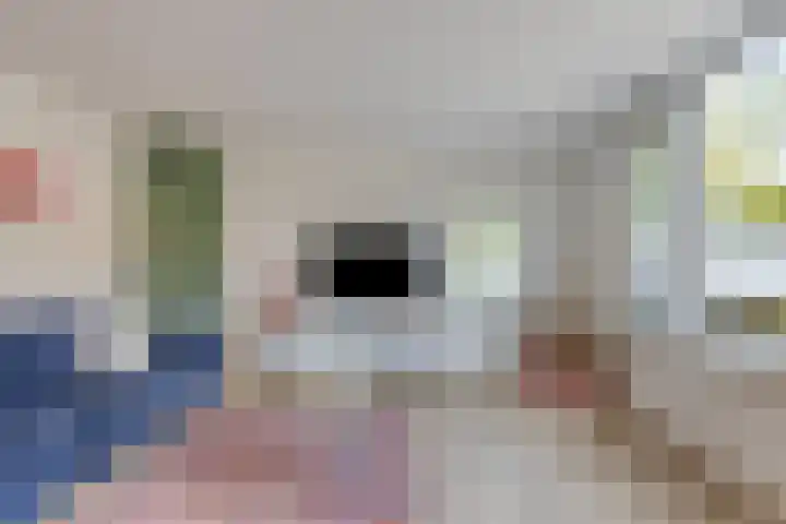 Cornelis van Eerdenstraat 1 Zoetermeer thumbnail 15