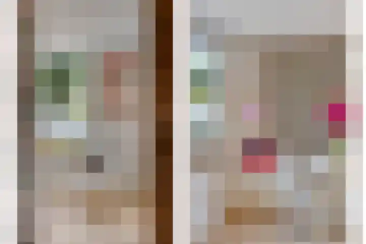 Cornelis van Eerdenstraat 1 Zoetermeer thumbnail 16