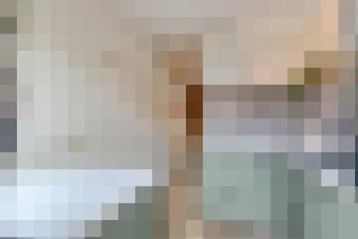 Cornelis van Eerdenstraat 1 Zoetermeer thumbnail 18