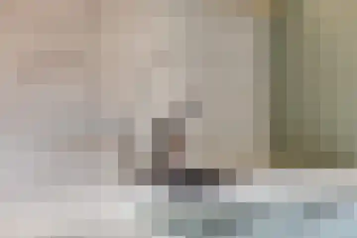 Cornelis van Eerdenstraat 1 Zoetermeer thumbnail 19