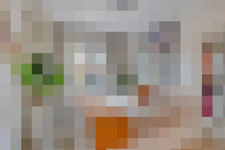 Cornelis van Eerdenstraat 1 Zoetermeer thumbnail 21