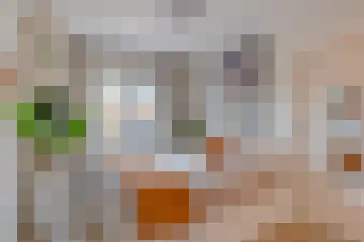 Cornelis van Eerdenstraat 1 Zoetermeer thumbnail 22