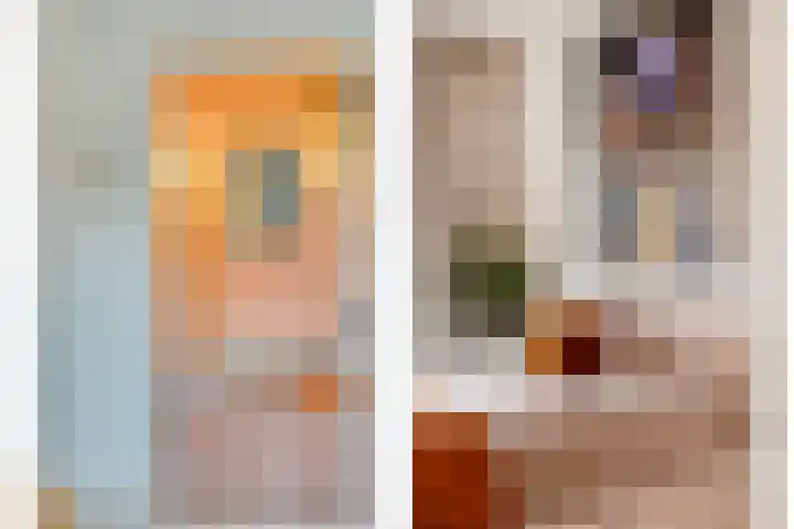 Cornelis van Eerdenstraat 1 Zoetermeer thumbnail 24