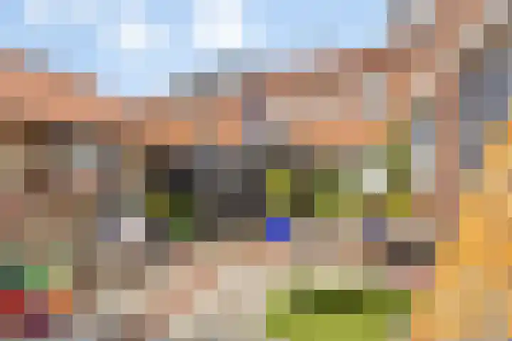 Cornelis van Eerdenstraat 1 Zoetermeer thumbnail 30