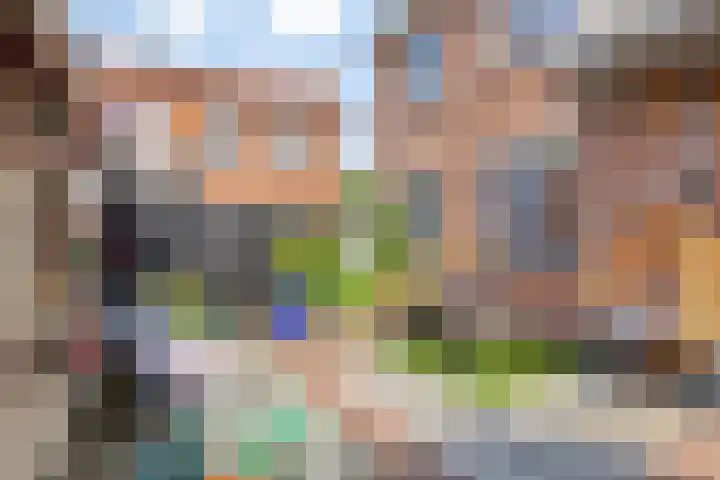 Cornelis van Eerdenstraat 1 Zoetermeer thumbnail 31