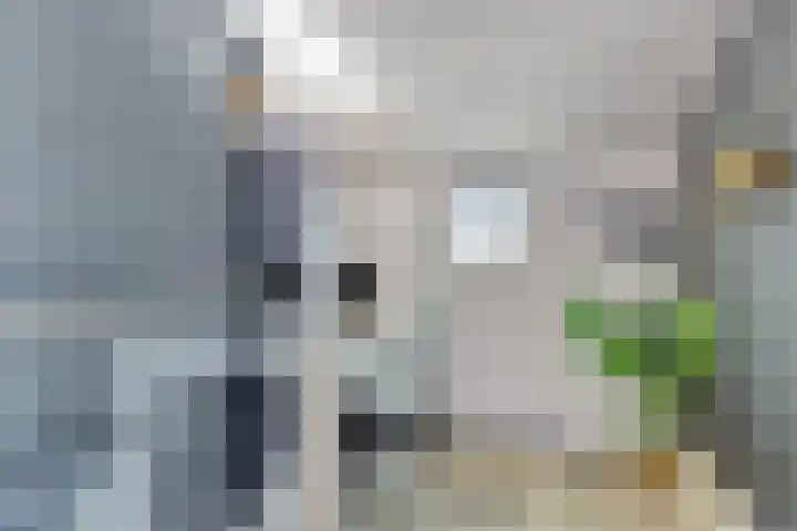 Cornelis van Eerdenstraat 1 Zoetermeer thumbnail 32