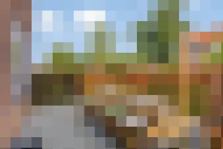 Cornelis van Eerdenstraat 1 Zoetermeer thumbnail 33