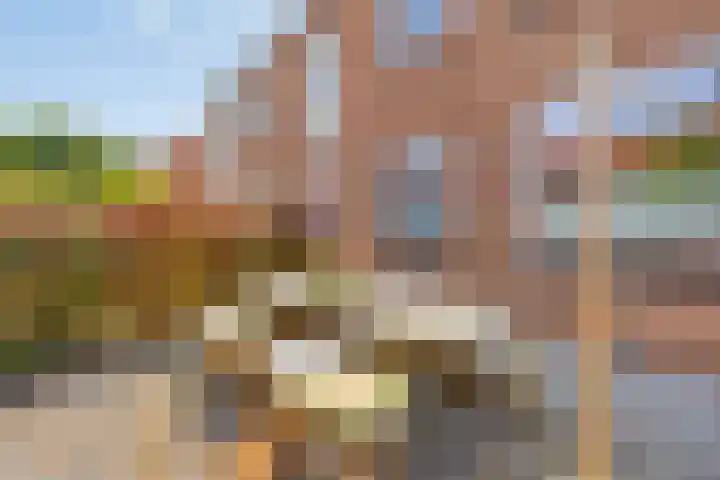 Cornelis van Eerdenstraat 1 Zoetermeer thumbnail 34