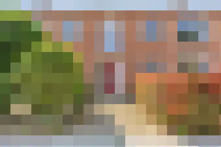 Cornelis van Eerdenstraat 1 Zoetermeer thumbnail 6
