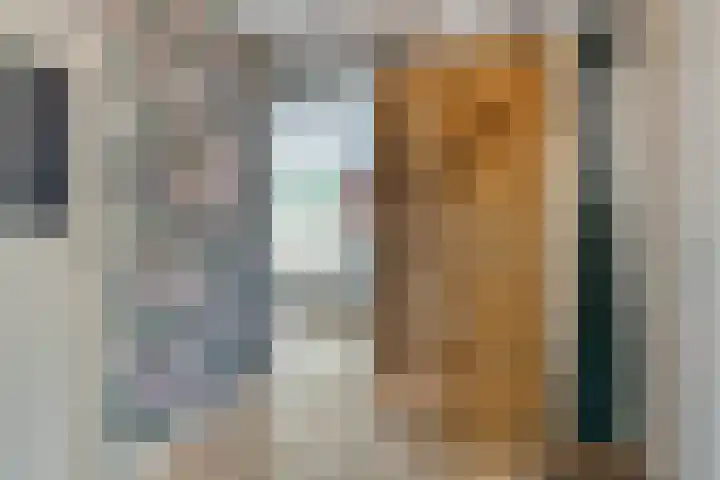 Cornelis van Eerdenstraat 1 Zoetermeer thumbnail 9