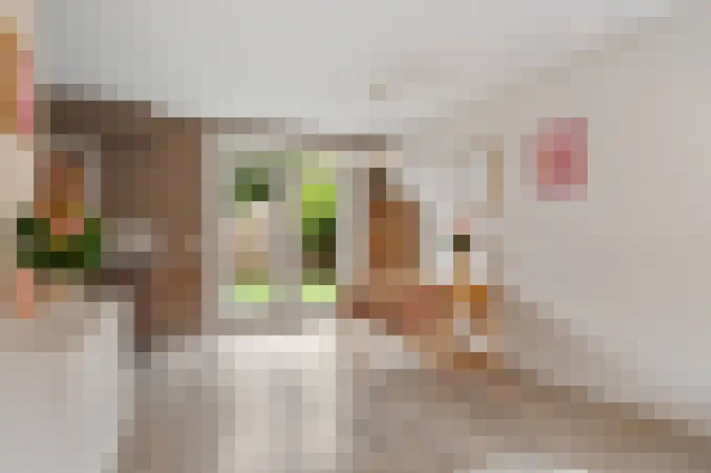 Cornelis van Eerdenstraat 21 Zoetermeer thumbnail 20