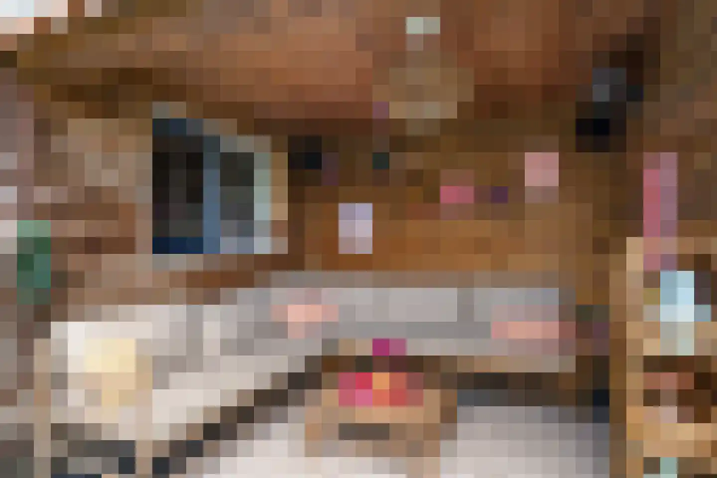 Cornelis van Eerdenstraat 21 Zoetermeer thumbnail 30