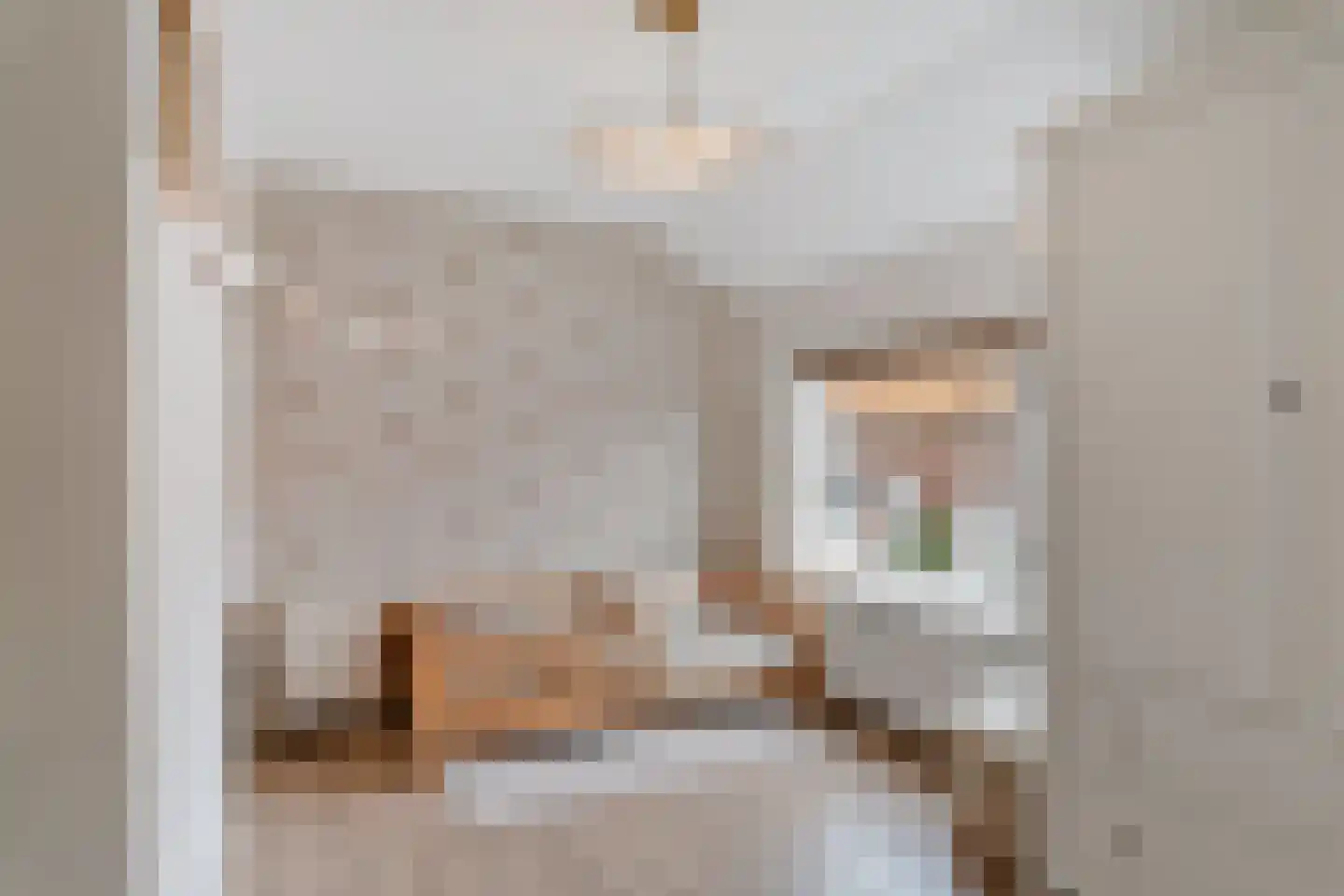 Cornelis van Eerdenstraat 21 Zoetermeer thumbnail 42