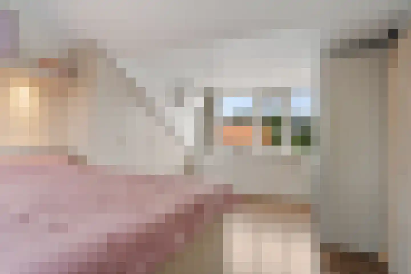Cornelis van Eerdenstraat 21 Zoetermeer thumbnail 48