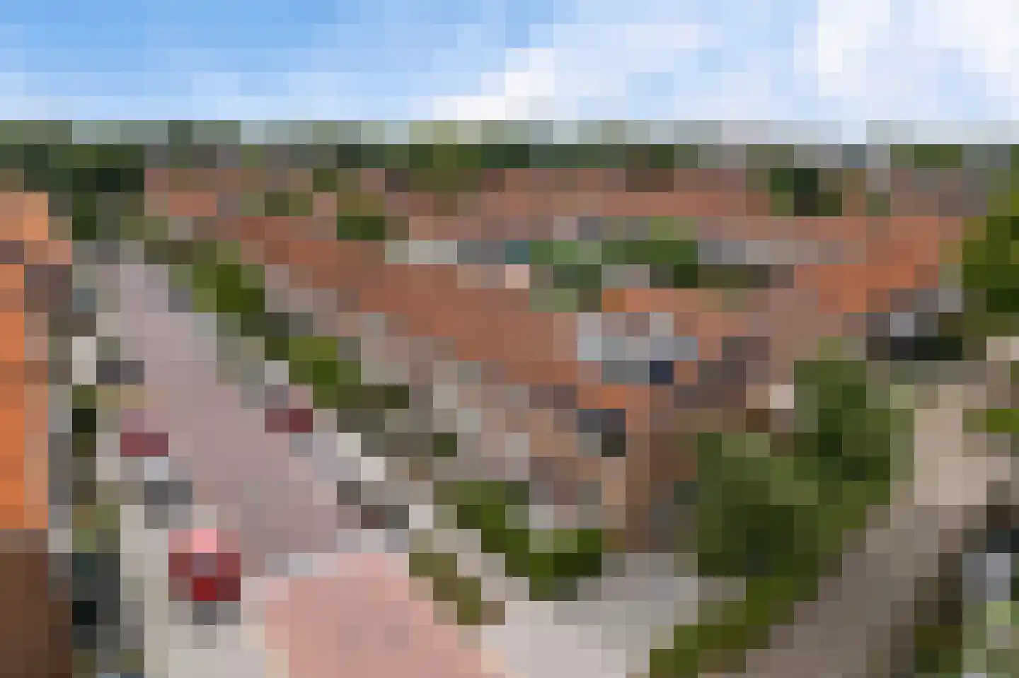 Cornelis van Eerdenstraat 21 Zoetermeer thumbnail 6