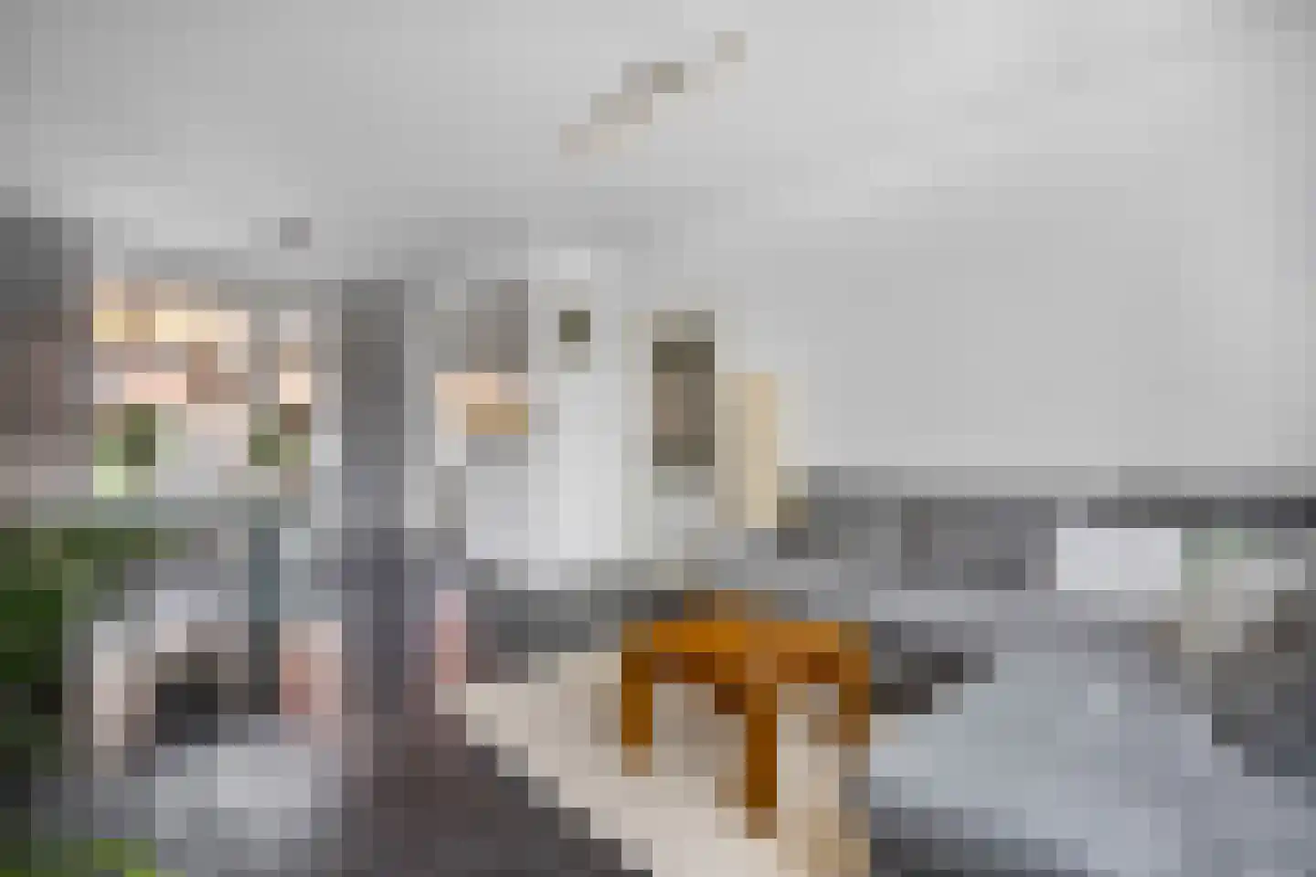 Cornelis van Eerdenstraat 46 Zoetermeer thumbnail 10