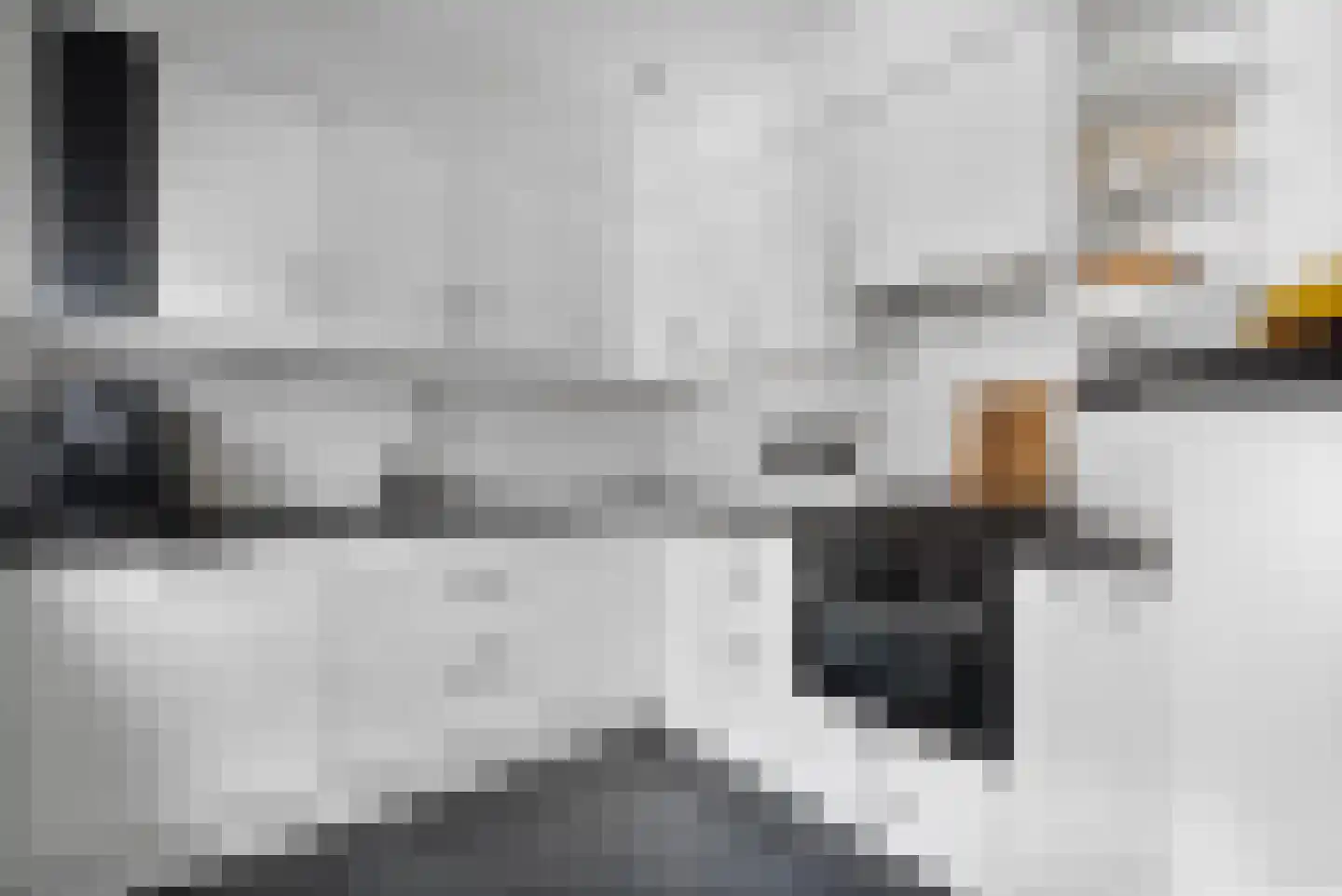 Cornelis van Eerdenstraat 46 Zoetermeer thumbnail 13