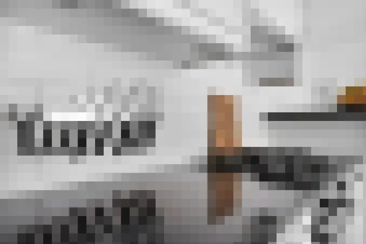 Cornelis van Eerdenstraat 46 Zoetermeer thumbnail 14